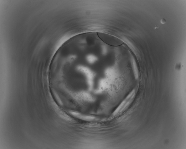 X0000092241291200709281117