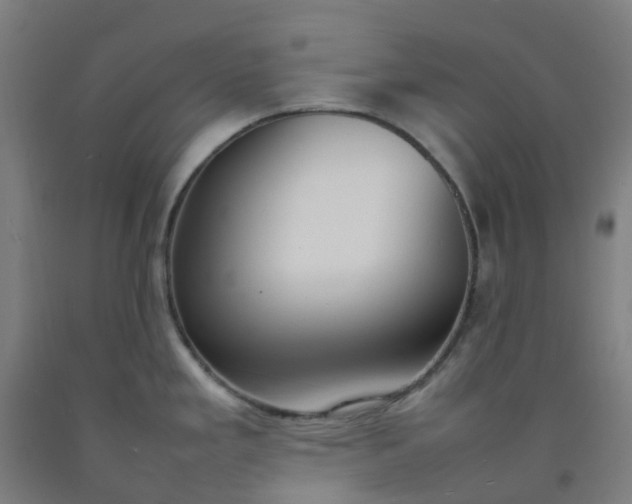 X0000092241293200709281117