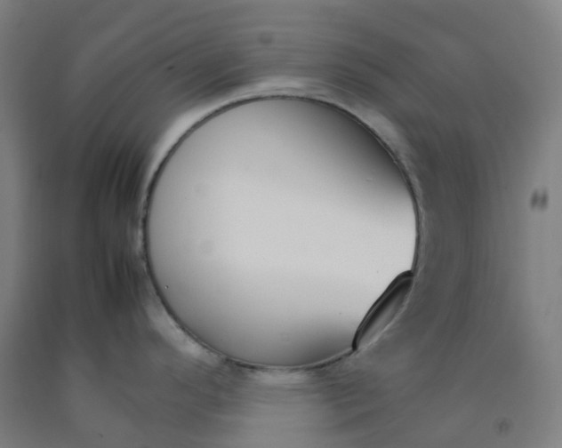 X0000092241296200709281117
