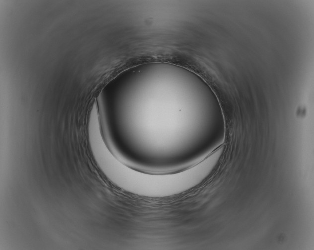 X0000092241298200709281116