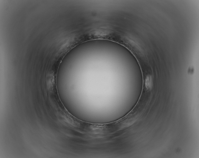 X0000092241299200709281116