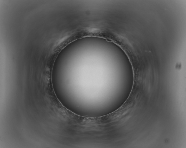 X0000092241301200709281116