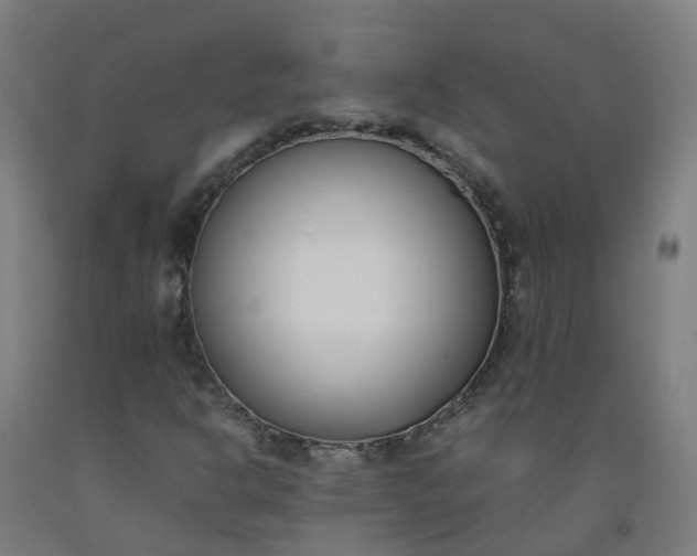 X0000092241302200709281116