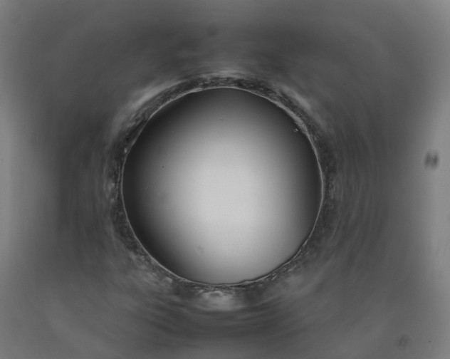 X0000092241303200709281116