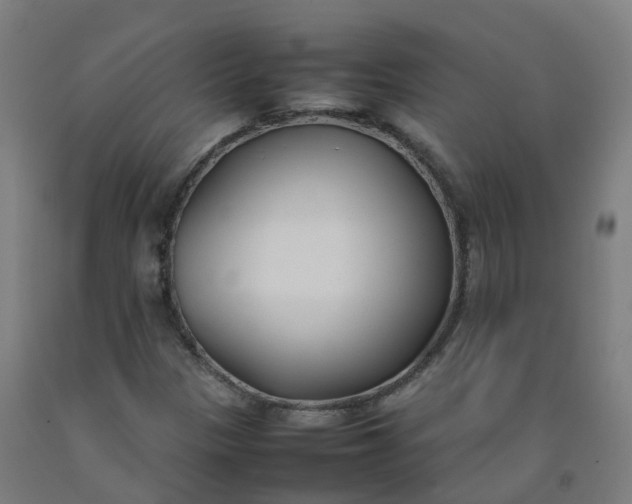 X0000092241305200709281116
