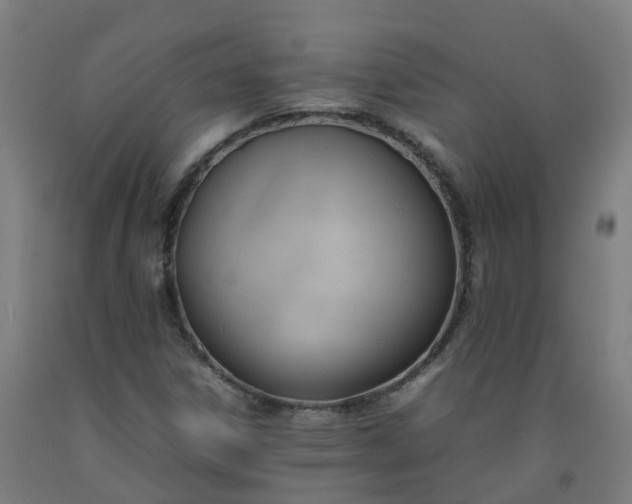 X0000092241306200709281116