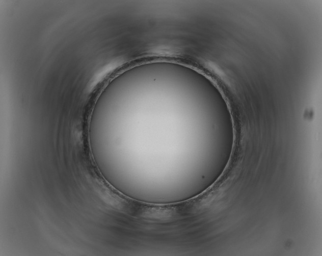 X0000092241307200709281116