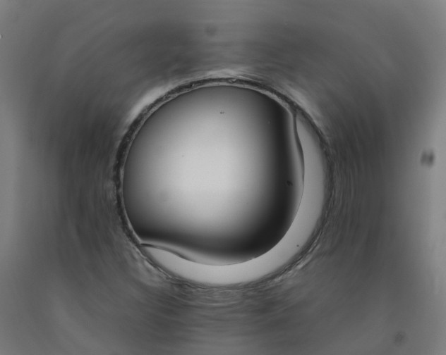 X0000092241308200709281116