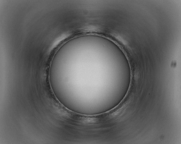 X0000092241309200709281116