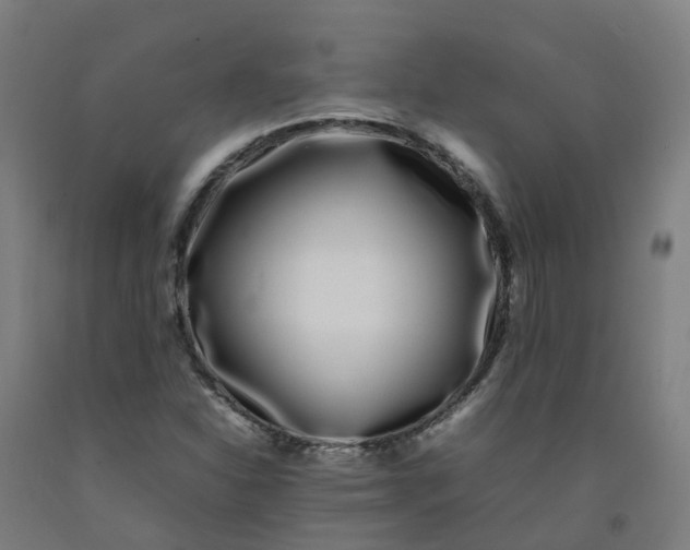 X0000092241310200709281116