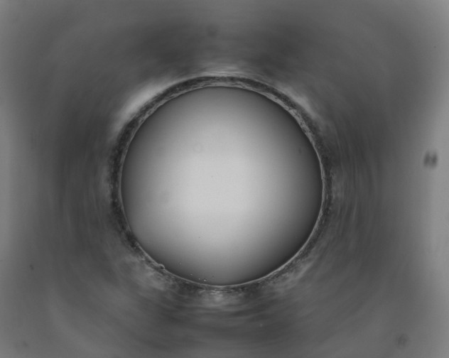 X0000092241311200709281116