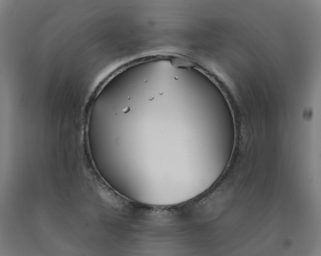 X0000092241316200709281116