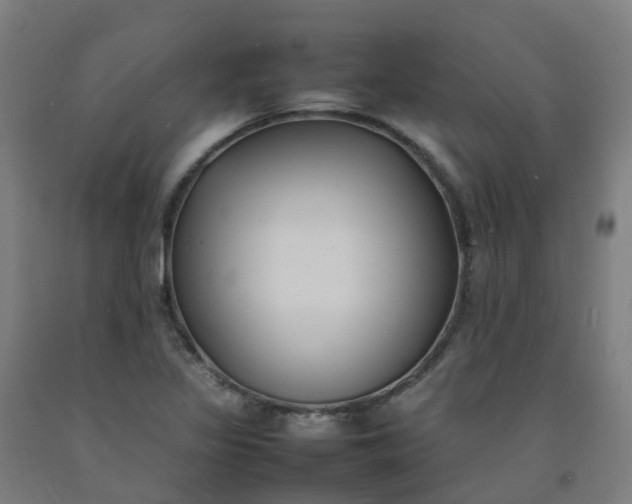 X0000092241317200709281116