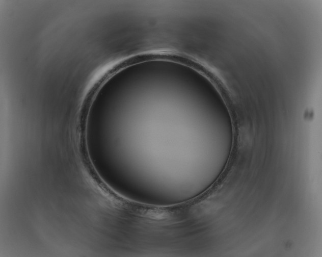 X0000092241319200709281116