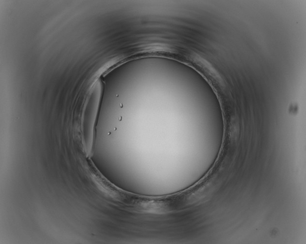 X0000092241321200709281116