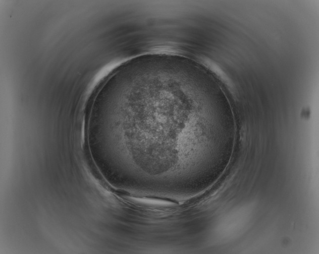 X0000092241323200709281116