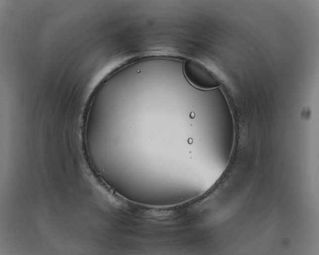 X0000092241325200709281116