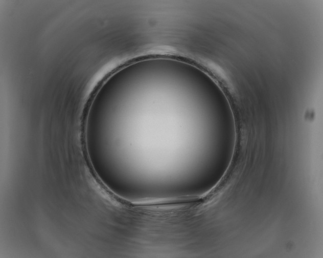 X0000092241326200709281116