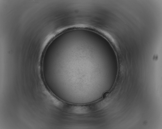 X0000092241327200709281116