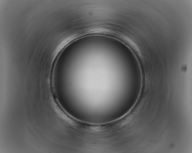 X0000092241330200709281116