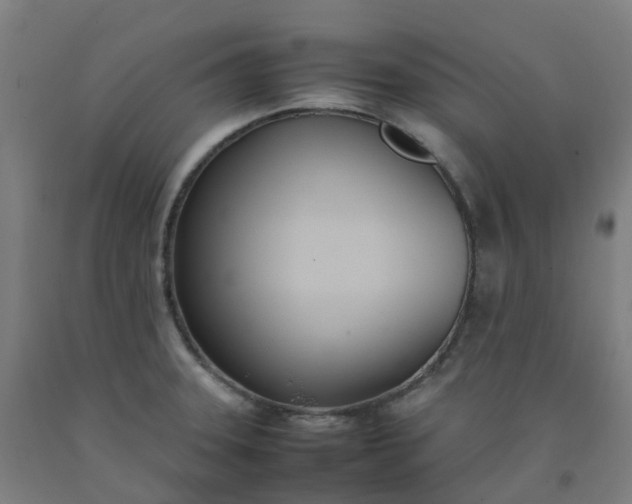 X0000092241331200709281116