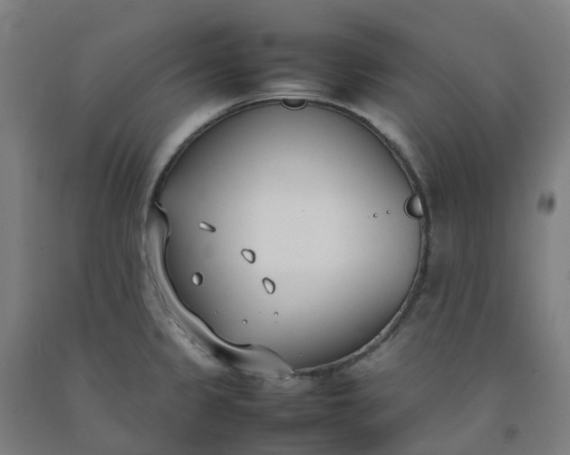 X0000092241333200709281116