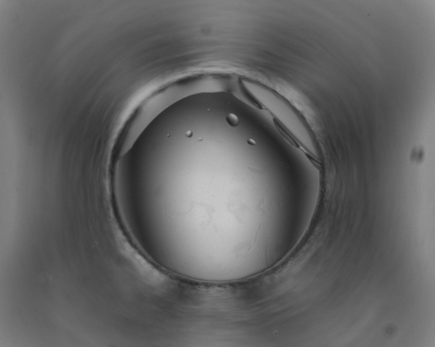 X0000092241334200709281117