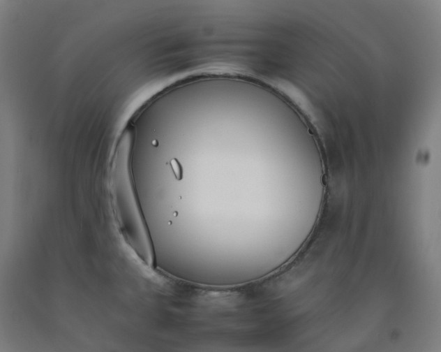 X0000092241335200709281117