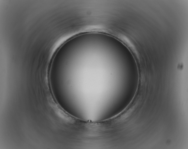 X0000092241336200709281117