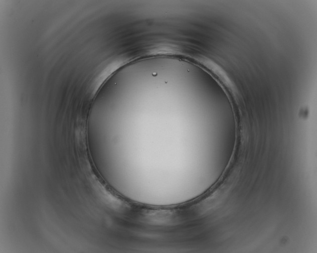 X0000092241337200709281117