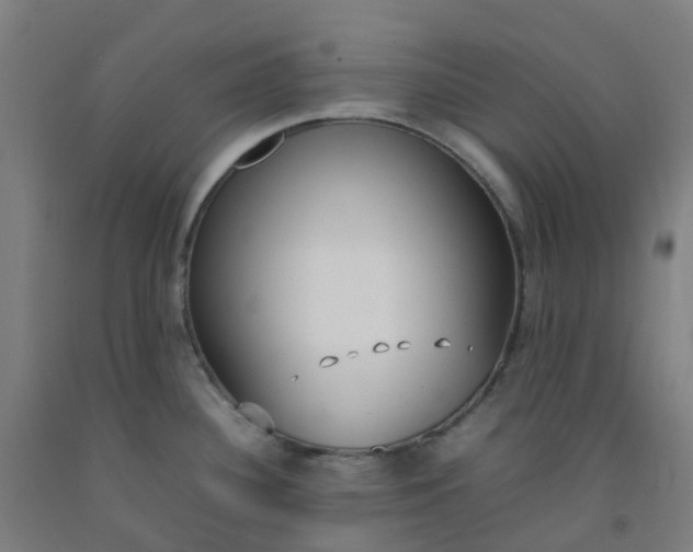 X0000092241340200709281117