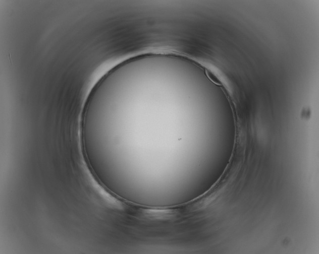 X0000092241343200709281117
