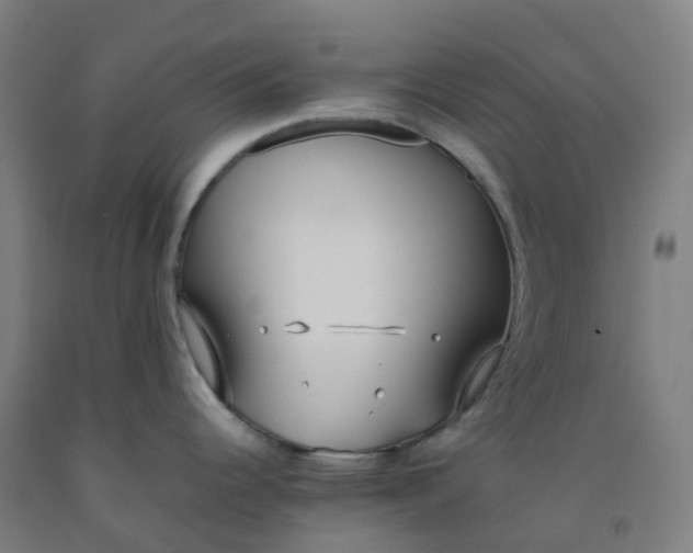 X0000092241344200709281117
