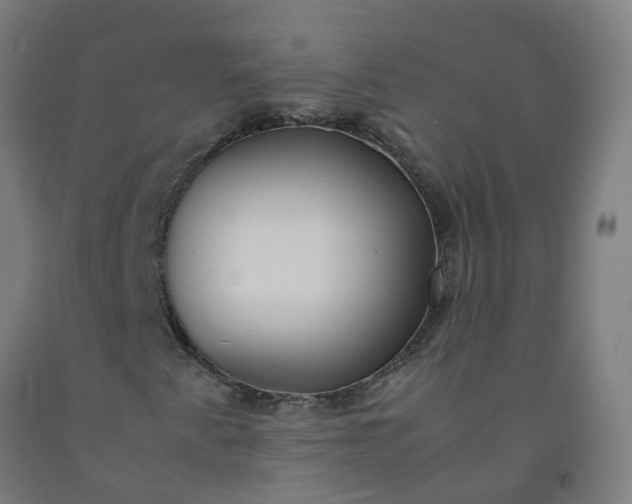 X0000092241345200709281116