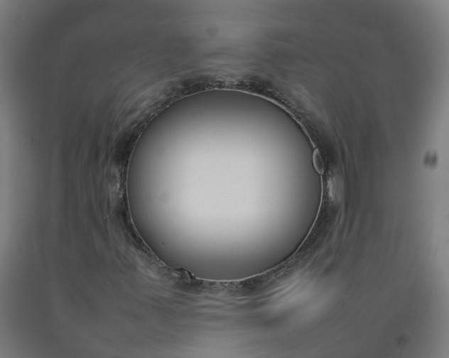X0000092241347200709281116