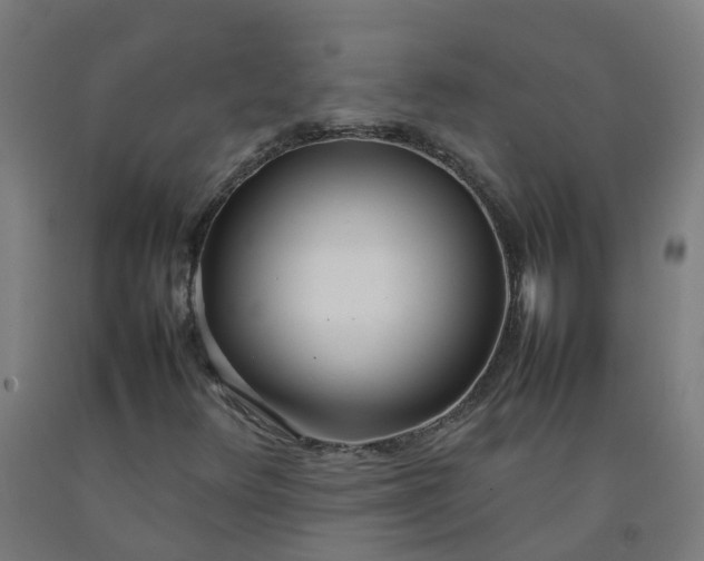 X0000092241348200709281116