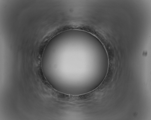 X0000092241349200709281116