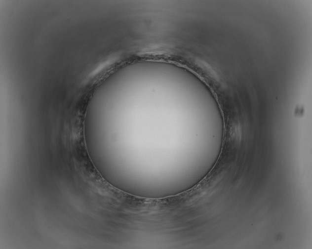 X0000092241350200709281116