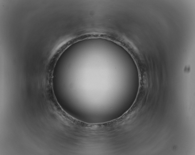 X0000092241352200709281116