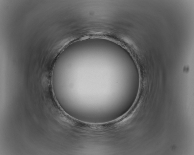 X0000092241353200709281116