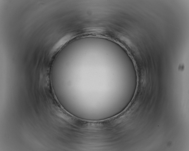 X0000092241354200709281116