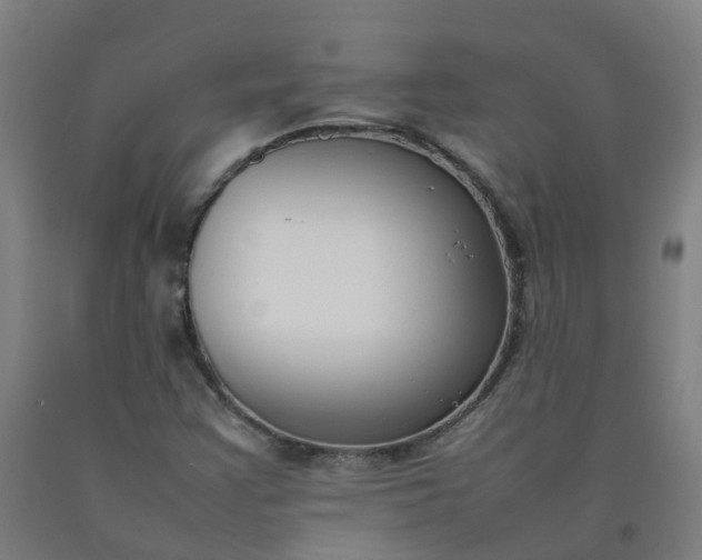 X0000092241355200709281116