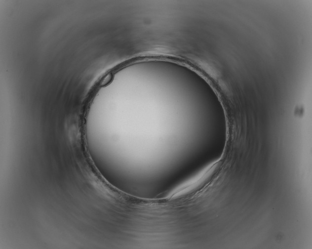 X0000092241356200709281116