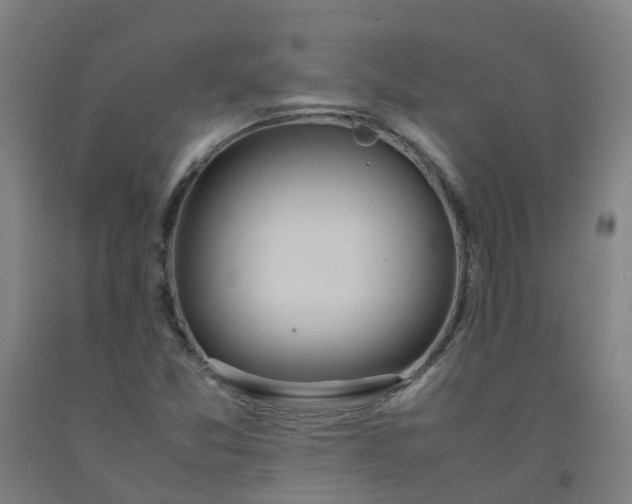 X0000092241357200709281116