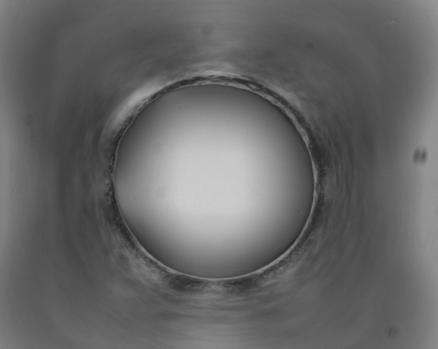 X0000092241359200709281116