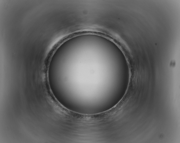 X0000092241360200709281116