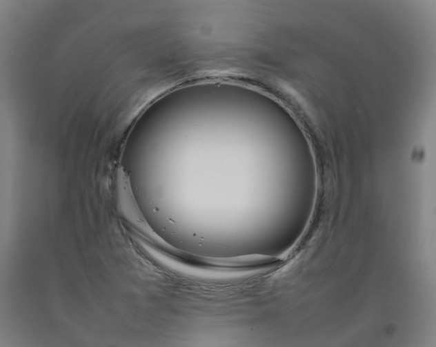 X0000092241361200709281116