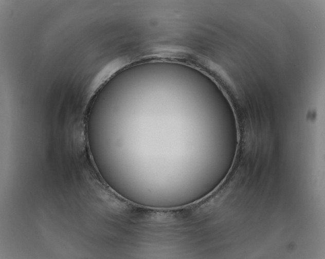 X0000092241362200709281116