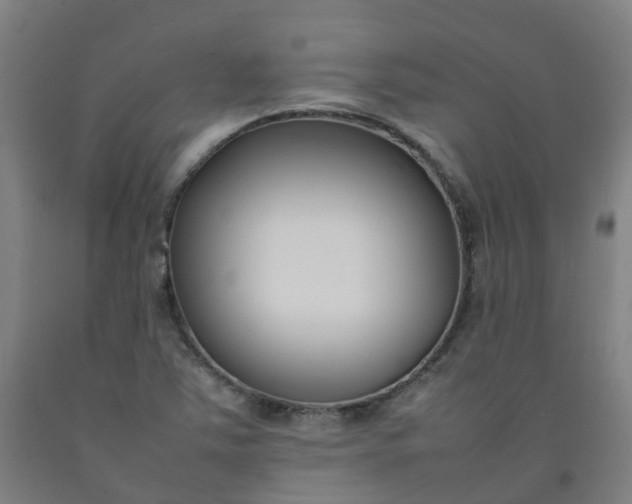 X0000092241363200709281116