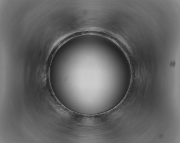 X0000092241364200709281116